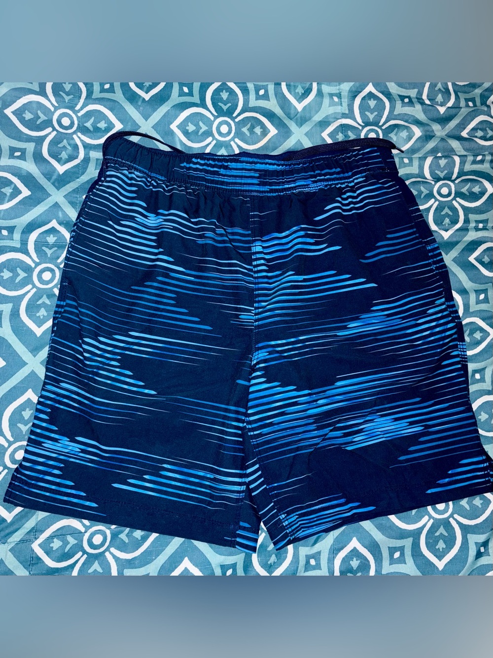 Speedo Men's Blue Swim Shorts